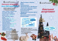 Буклет новогодний