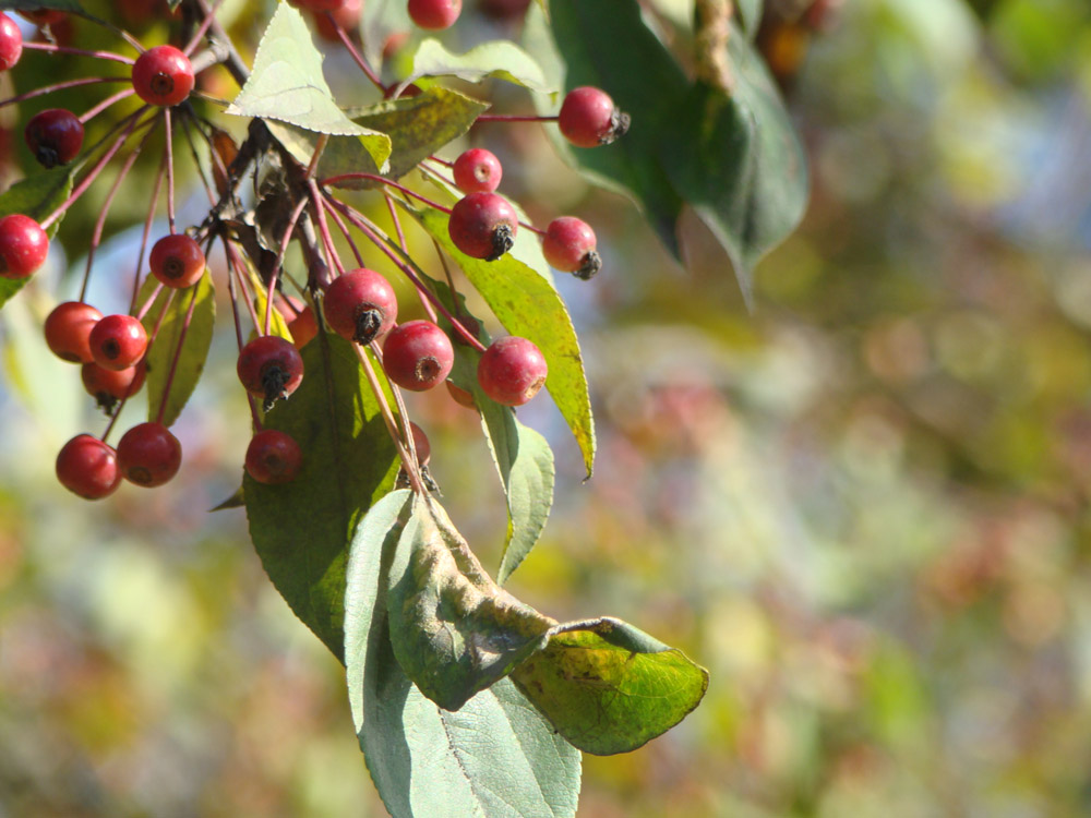 pic325689.jpg