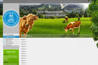 Резиновая блочная кроссбраузерная верстка