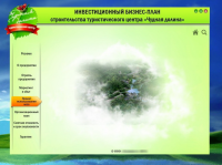 Презентация инвестиционного бизнес-плана