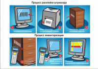 Инструкция для скана