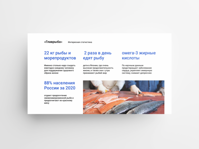 Презентация для привлечения инвестиций