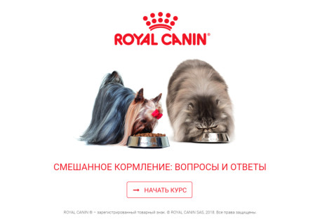 Онлайн-курс ROYAL CANIN ®