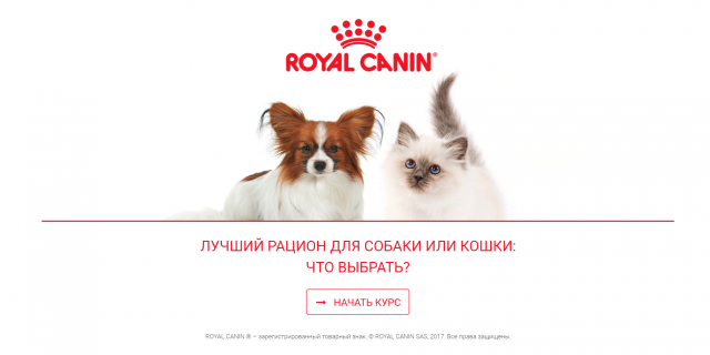 Онлайн-курс ROYAL CANIN®