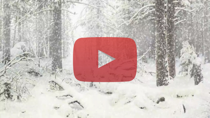 Анимация картины для сайта Arthive.com