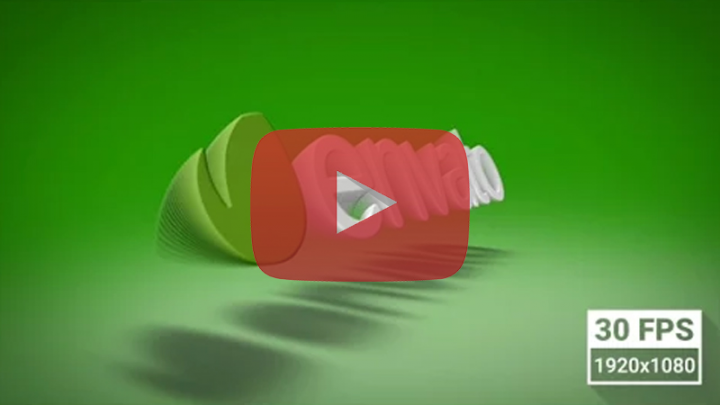 Flip Logo Reveal