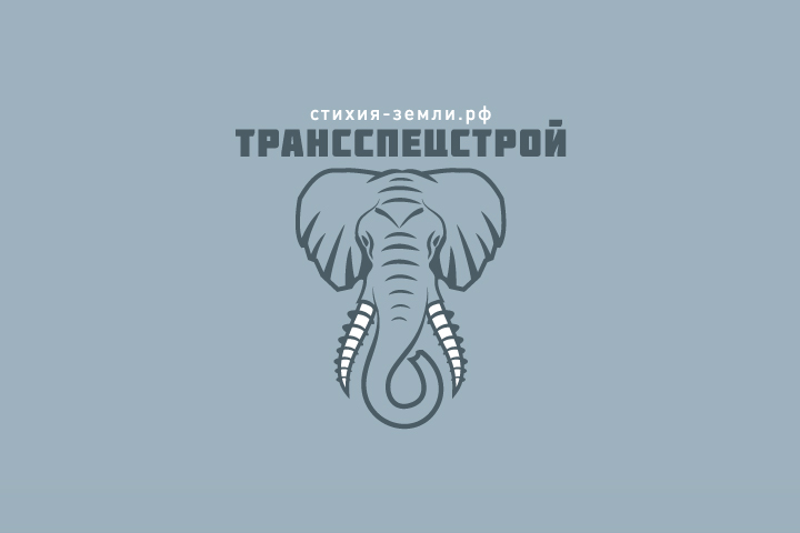 Логотип компании "Трансспецстрой"