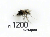 Видеоролик "Бриг тур"