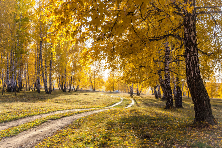Осень
