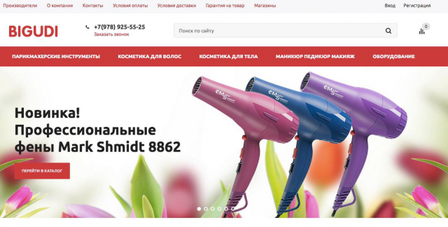Продвижение bigudi-shop.com