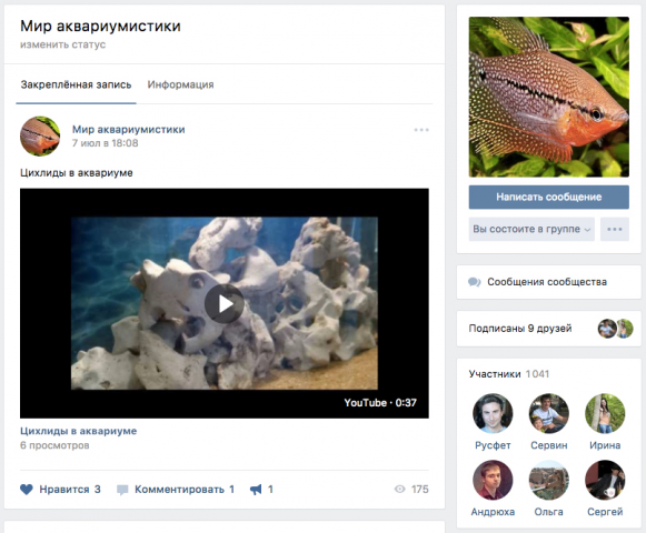 SMM для crifish.com.ua