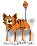 Кот