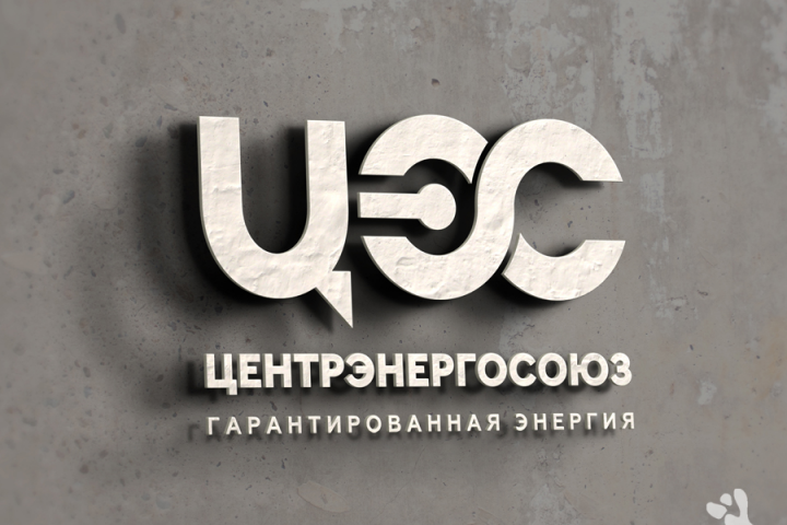 ЦентрЭнергоСоюз