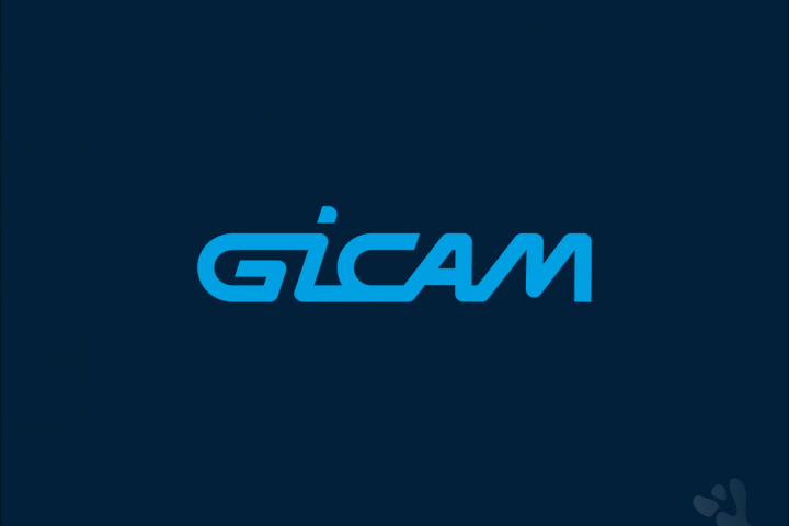 ТМ Gicam