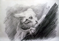 Кошка на дереве,рисунок карандашом