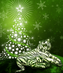 Tiger Year