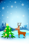New Year