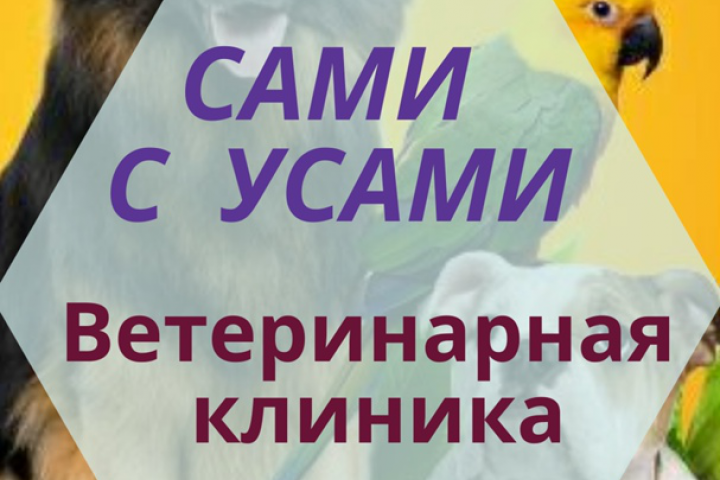 Живая обложка для вашего сообщества.