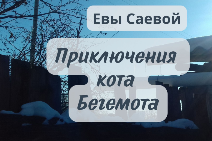 Приключения кота Бегемота рассказы Евы Саевой
