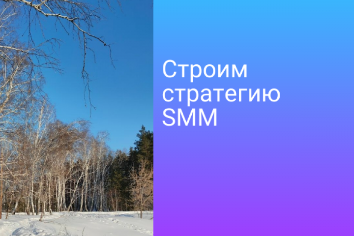 Строим стратегию SMM