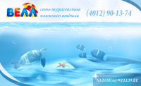 Работа 1370280