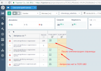 SEO оптимизация страницы - Женских футболок с надписями