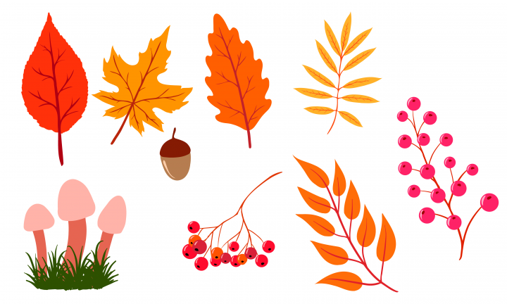 векторный набор осенний