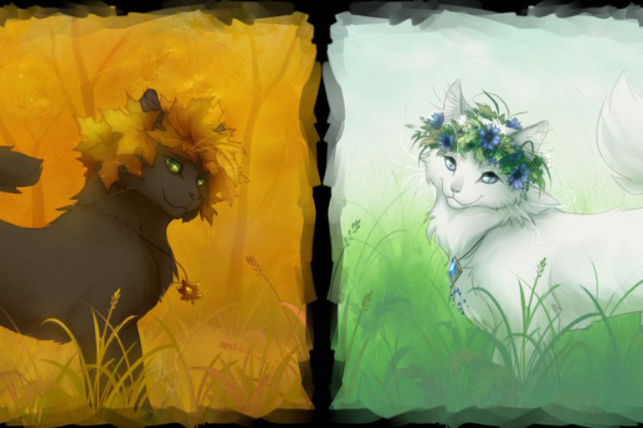 Кошки-воительницы