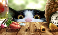 На конкурс "One Cat, One Fruit, One Clock". Микромир