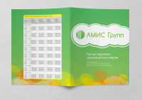 Рекламный буклет для компании «АМИС Групп»