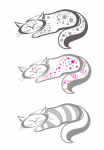 Caty