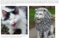 Апрельские коты.