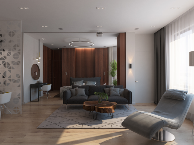 Гостиная-спальня