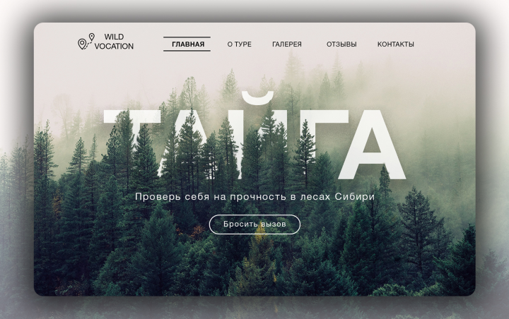 Туры в тайгу