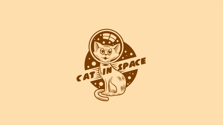 Cat In Space