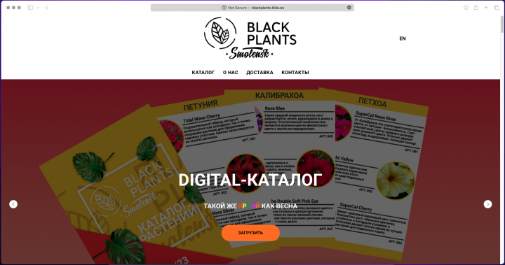 BLACKPLANTS