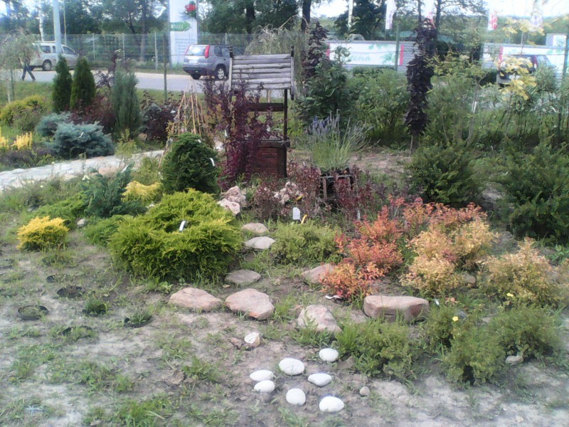 pic2663959.jpg