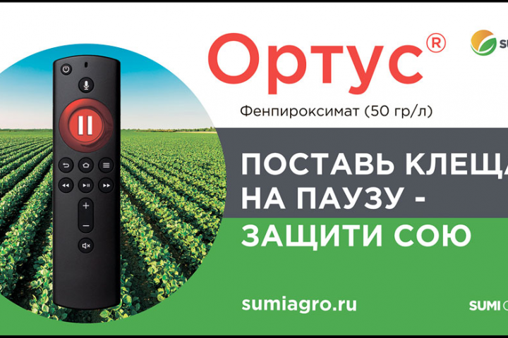 Ортус