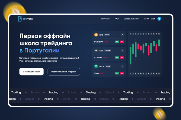 Bitprofit.pt | Оффлайн школа трейдинга в Португалии