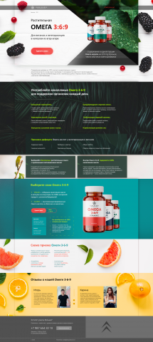 Landing Page 2