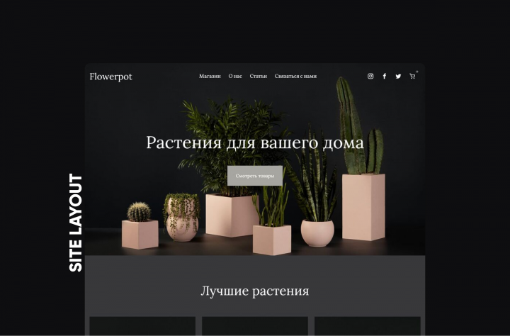 Растения для вашего дома