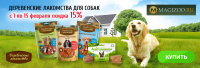 Баннер для зоомагазина