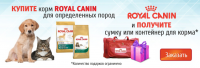 Баннер для зоомагазина