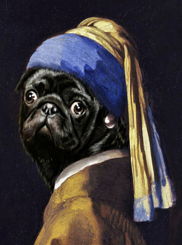 Мопс с жемчужной сережкой