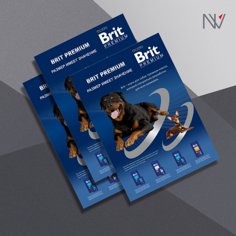 Brit
