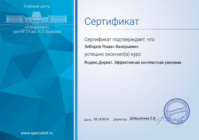 Яндекс. Директ. Эффективная контекстная реклама
