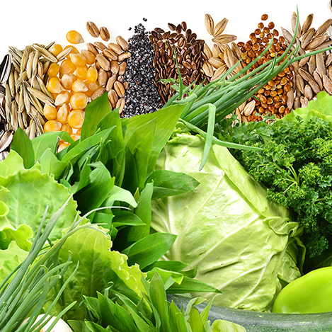 Садовод. Баннеры в слайдер на главную