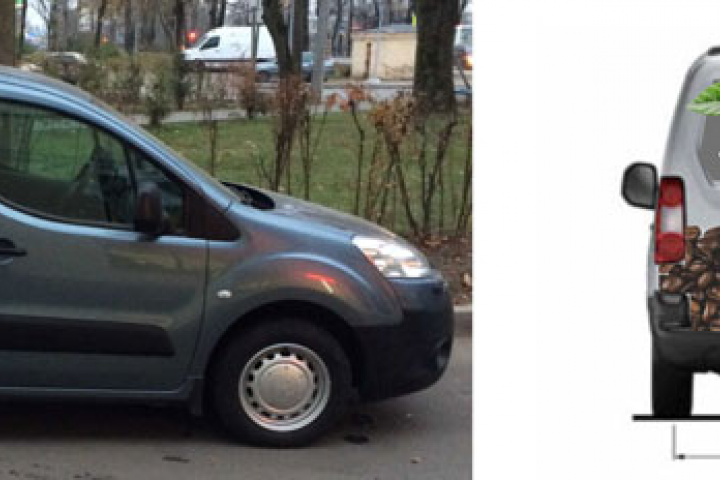 ���� �������������