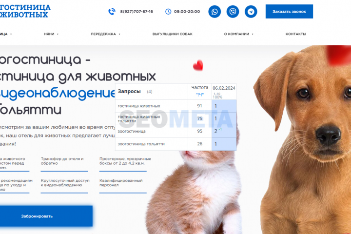 Зоогостиница Тольятти