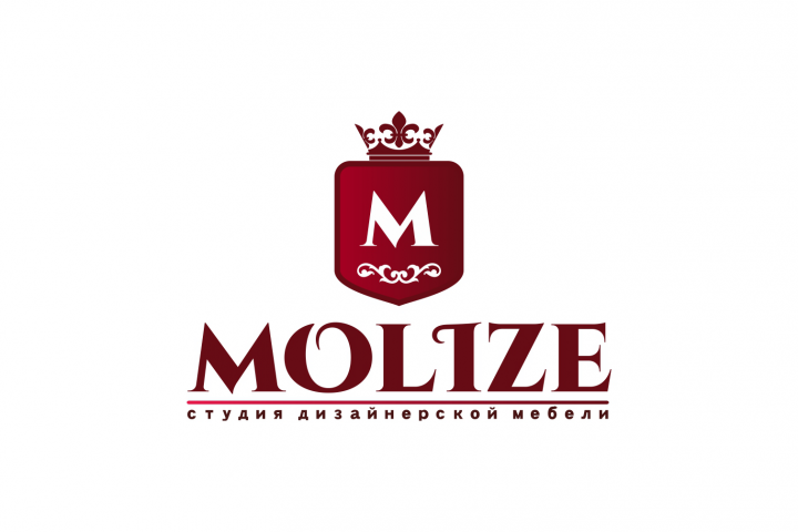 Нейминг+лого MOLIZE Реализовано